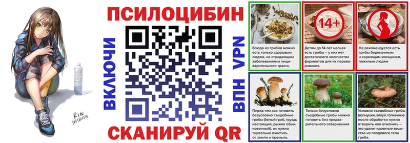 Купить  Сельцо  Галлюциногенные грибы MAGIC MUSHROOMS 