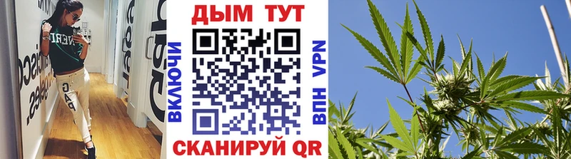Канабис Bruce Banner  Купить где  Сельцо 
